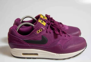 Nike Air Max 1 "Bordeaux Desert Moss"