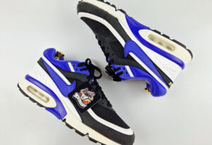 Nike Air Max Classic BW "Persian Violet 2021"