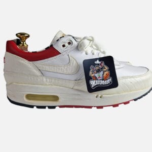 Nike Air Max 1 "Premium Euro Champs"
