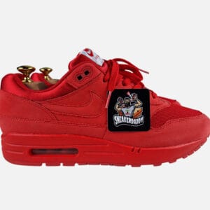 Nike Air Max 1 "Tonal Red"