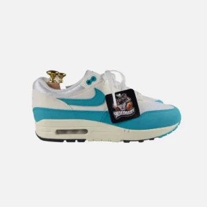 Nike Air Max 1 "Dusty Cactus" (wmns maatvoering)